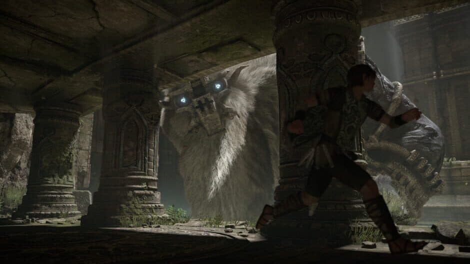 Shadow of the Colossus — кадр из игры