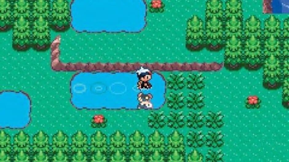 Pokémon Sapphire Version — кадр из игры