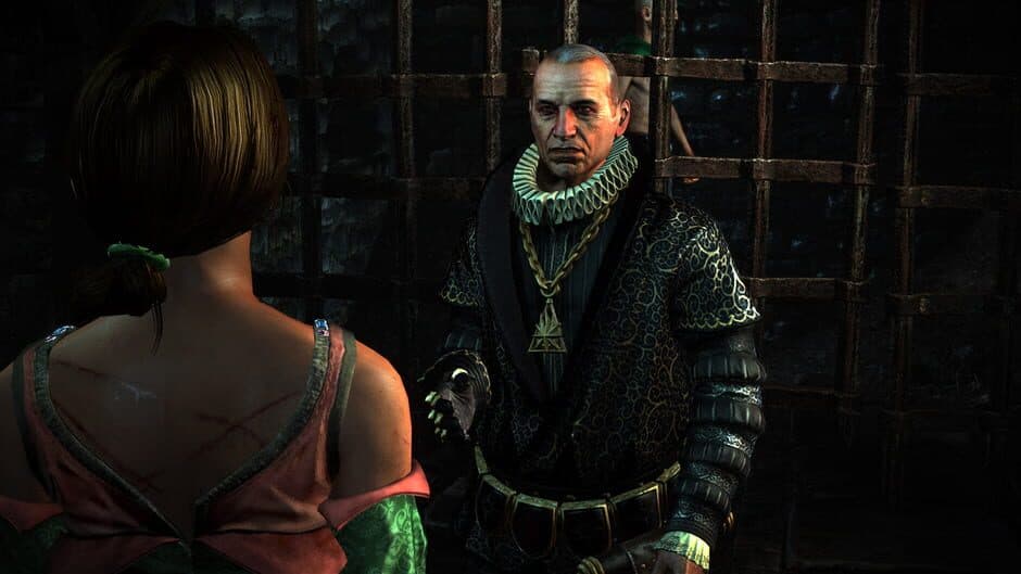 The Witcher 2: Assassins of Kings — кадр из игры