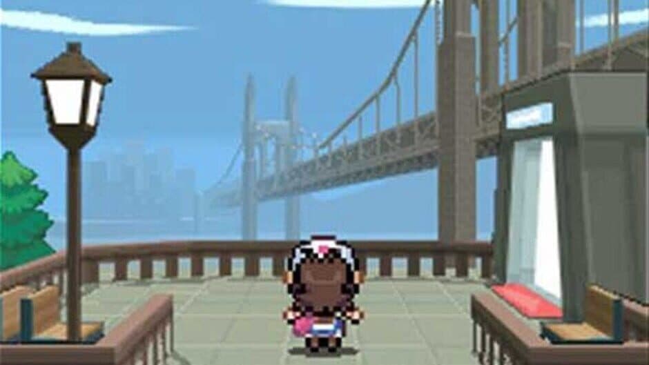 Pokémon Black Version — кадр из игры