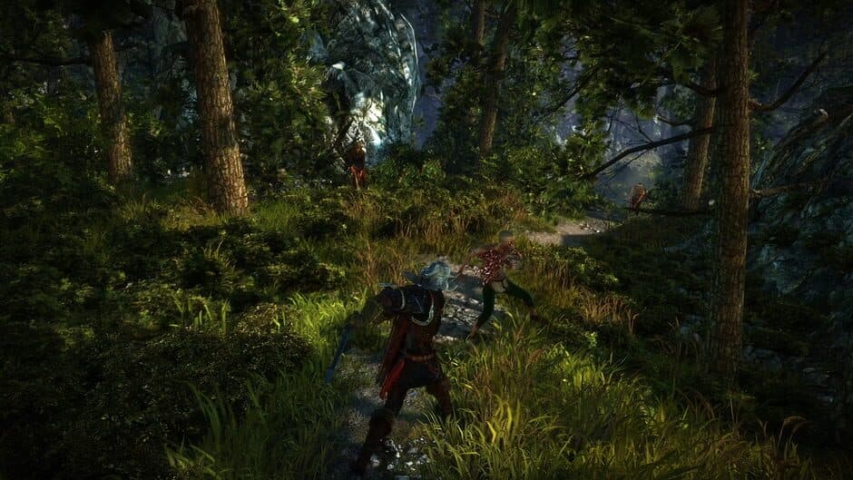 The Witcher 2: Assassins of Kings — кадр из игры