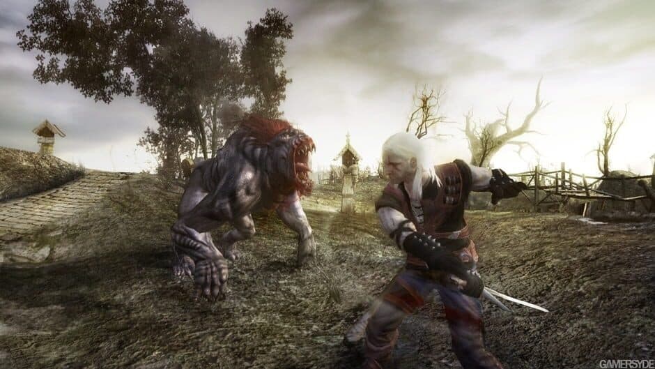 The Witcher — кадр из игры