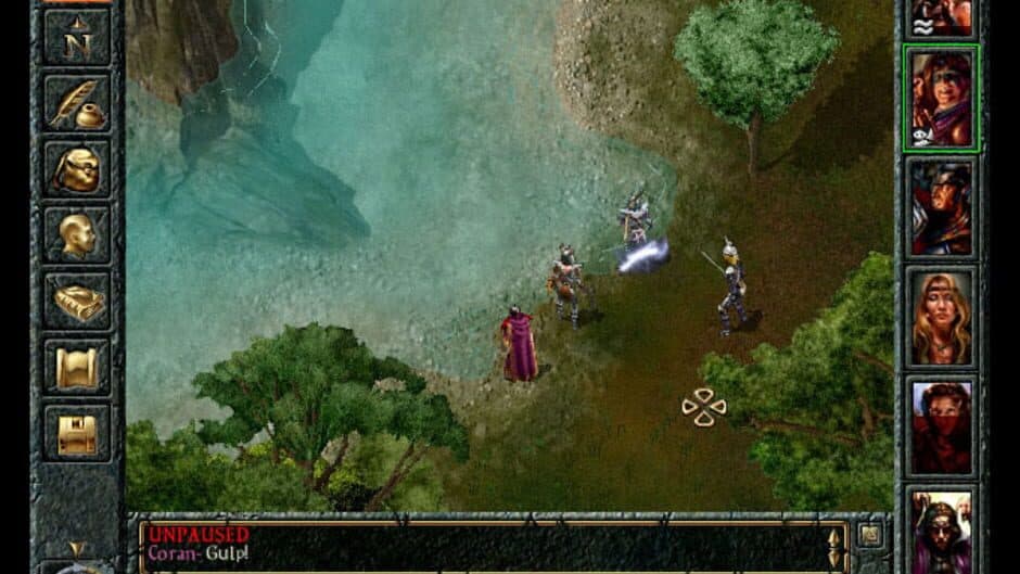 Baldur's Gate — кадр из игры