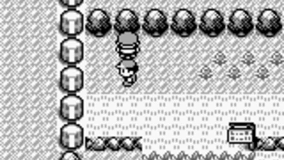 Pokémon Red Version — кадр из игры