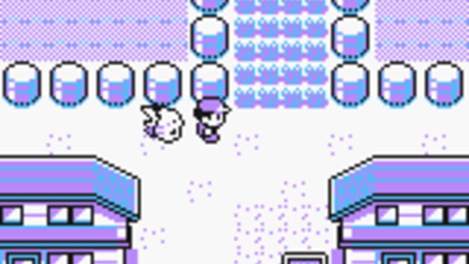 Pokémon Yellow Version: Special Pikachu Edition — кадр из игры