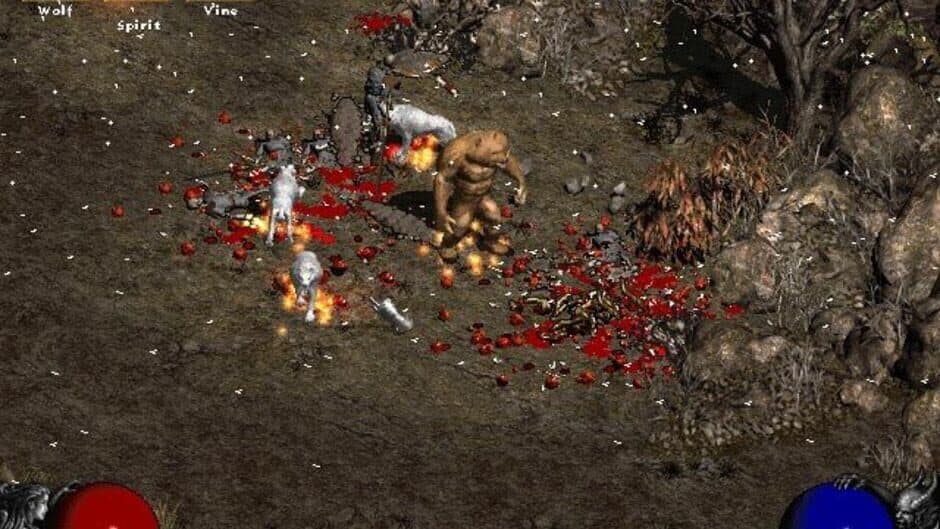 Diablo II — кадр из игры