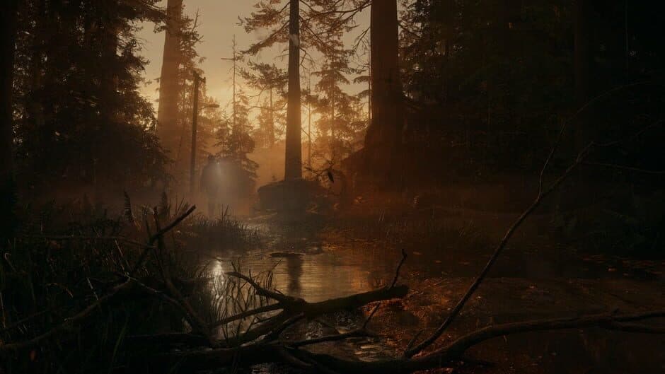 Alan Wake II — кадр из игры