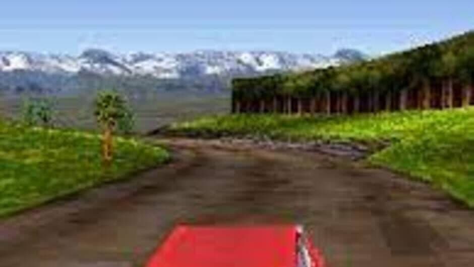 Rally 3D — кадр из игры