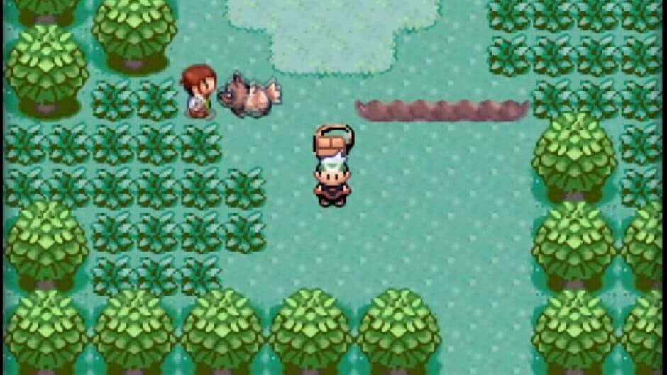 Pokémon Emerald Version — кадр из игры