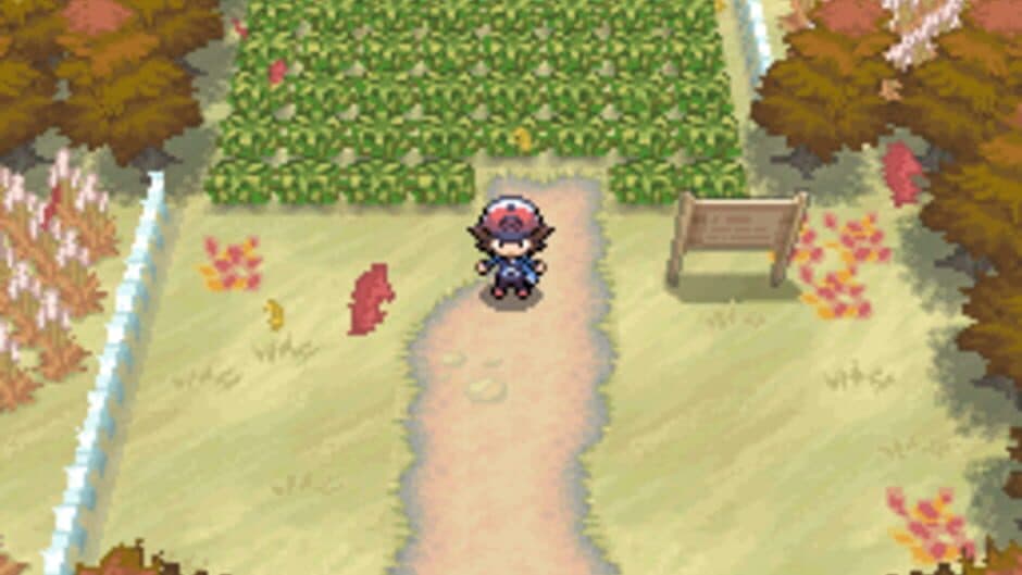 Pokémon Black Version — кадр из игры