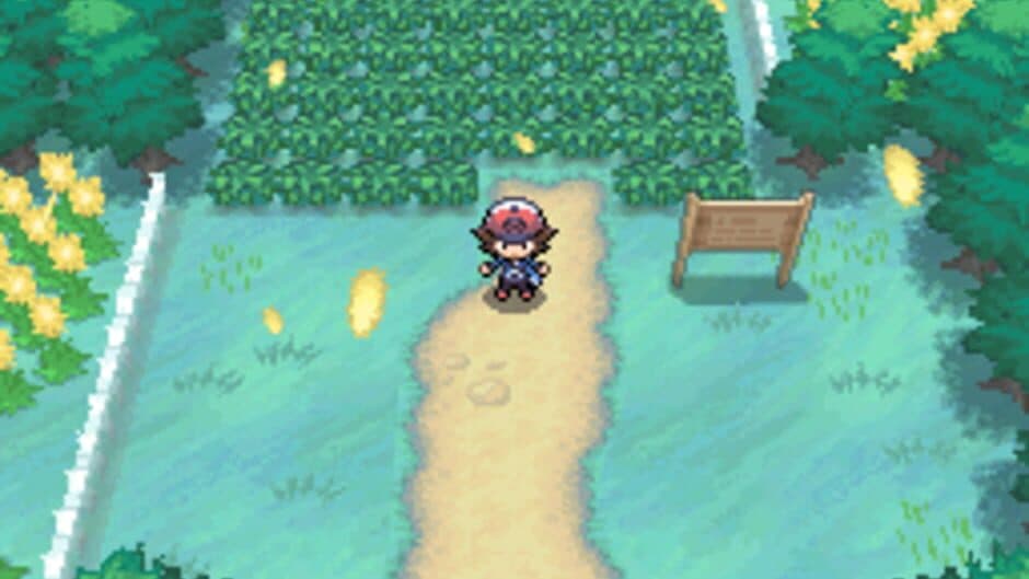 Pokémon Black Version — кадр из игры