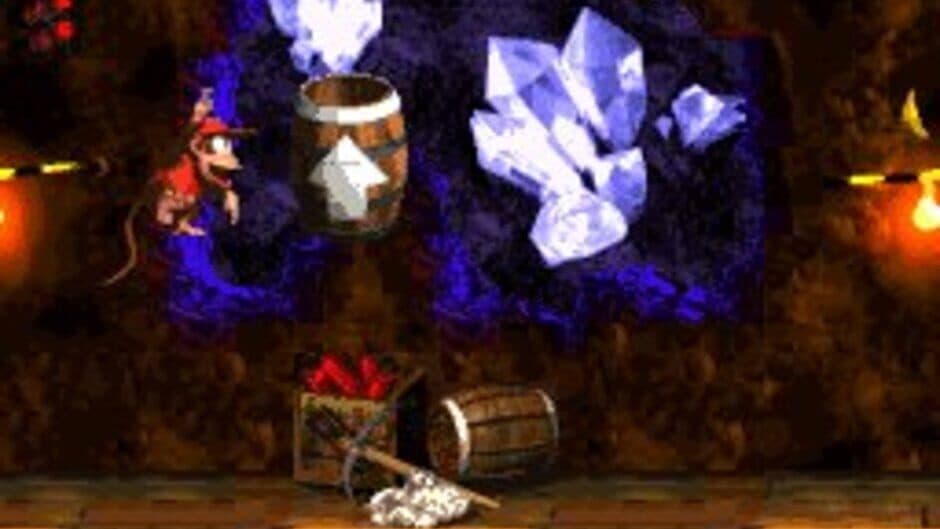 Donkey Kong Country 2: Diddy's Kong Quest — кадр из игры