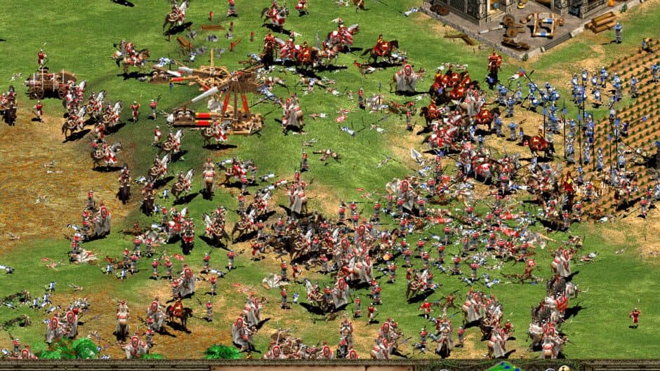 Age of Empires II: The Age of Kings — кадр из игры