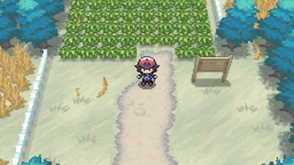 Pokémon Black Version — кадр из игры