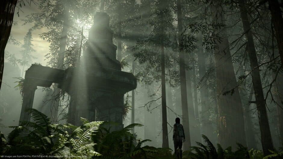 Shadow of the Colossus — кадр из игры